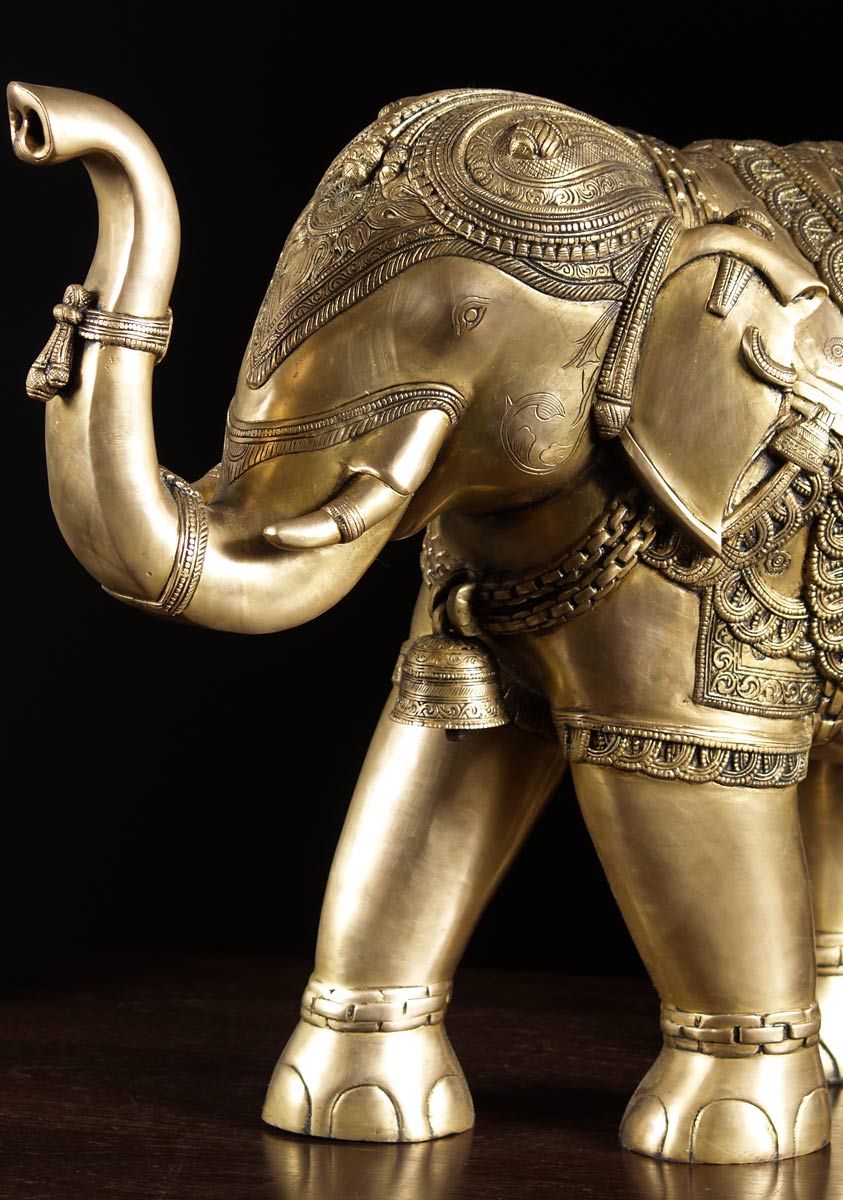 3-elephant-with-raised-trunk