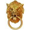 Door Knocker- Unique Door Décor Yellow Finish